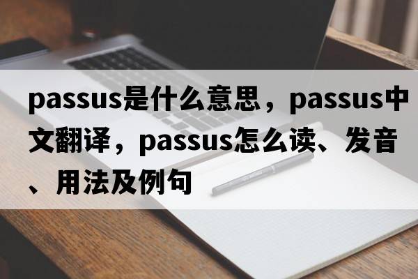 passus是什么意思，passus中文翻譯，passus怎么讀、發(fā)音、用法及例句