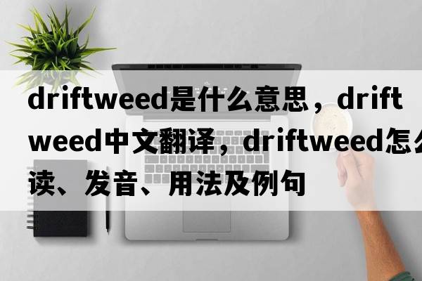 driftweed是什么意思，driftweed中文翻譯，driftweed怎么讀、發(fā)音、用法及例句