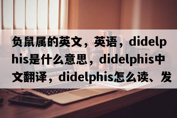 負鼠屬的英文，英語(yǔ)，Didelphis是什么意思，Didelphis中文翻譯，Didelphis怎么讀、發(fā)音、用法及例句