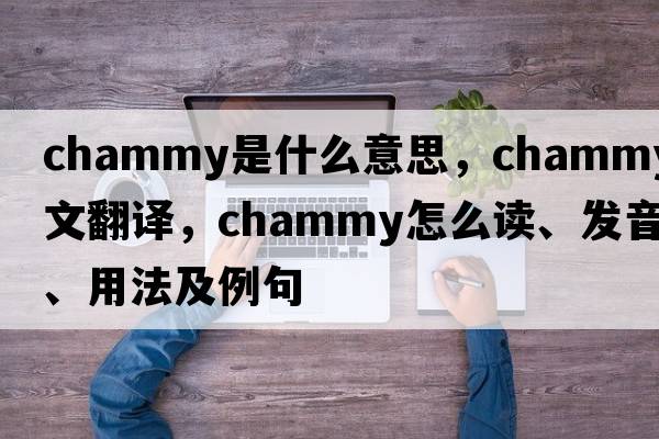 chammy是什么意思，chammy中文翻譯，chammy怎么讀、發(fā)音、用法及例句