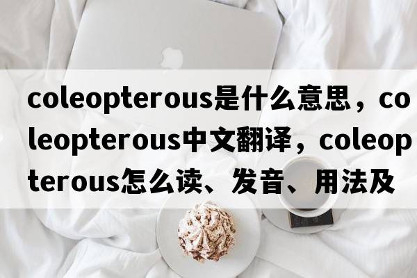 coleopterous是什么意思，coleopterous中文翻譯，coleopterous怎么讀、發(fā)音、用法及例句