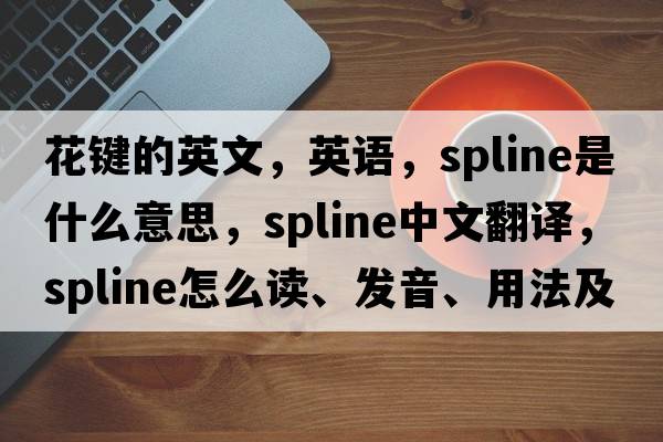 花鍵的英文，英語(yǔ)，spline是什么意思，spline中文翻譯，spline怎么讀、發(fā)音、用法及例句