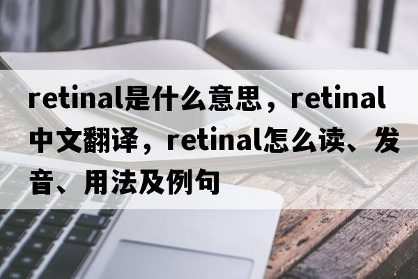 retinal是什么意思，retinal中文翻譯，retinal怎么讀、發(fā)音、用法及例句