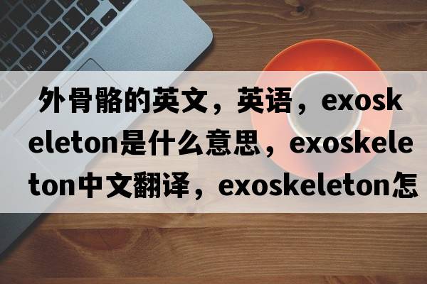  外骨骼的英文，英語(yǔ)，exoskeleton是什么意思，exoskeleton中文翻譯，exoskeleton怎么讀、發(fā)音、用法及例句