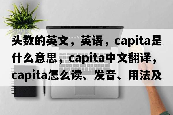頭數的英文，英語(yǔ)，capita是什么意思，capita中文翻譯，capita怎么讀、發(fā)音、用法及例句