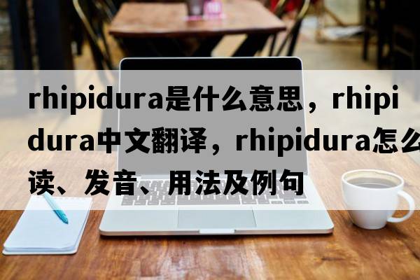 rhipidura是什么意思，rhipidura中文翻譯，rhipidura怎么讀、發(fā)音、用法及例句