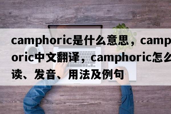 camphoric是什么意思，camphoric中文翻譯，camphoric怎么讀、發(fā)音、用法及例句
