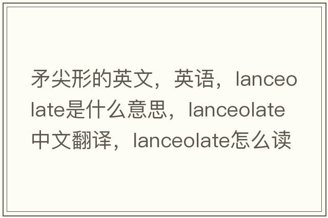 矛尖形的英文，英語(yǔ)，lanceolate是什么意思，lanceolate中文翻譯，lanceolate怎么讀、發(fā)音、用法及例句