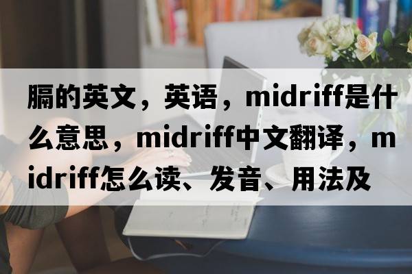 膈的英文，英語(yǔ)，midriff是什么意思，midriff中文翻譯，midriff怎么讀、發(fā)音、用法及例句