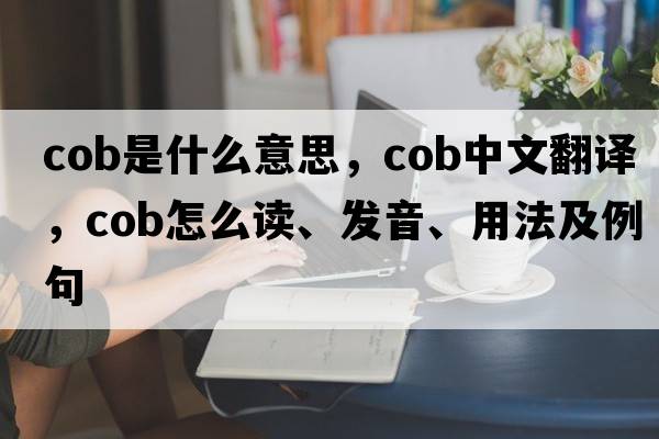 cob是什么意思，cob中文翻譯，cob怎么讀、發(fā)音、用法及例句