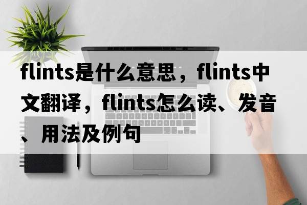 flints是什么意思，flints中文翻譯，flints怎么讀、發(fā)音、用法及例句
