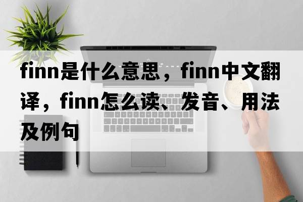 finn是什么意思，finn中文翻譯，finn怎么讀、發(fā)音、用法及例句