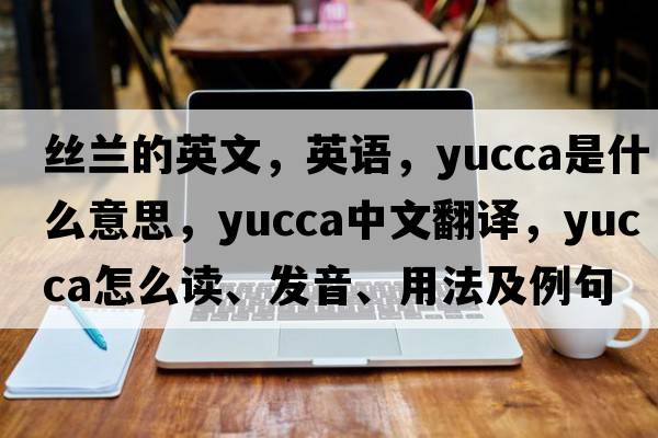 絲蘭的英文，英語(yǔ)，yucca是什么意思，yucca中文翻譯，yucca怎么讀、發(fā)音、用法及例句