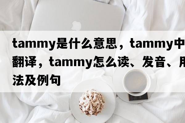 tammy是什么意思，tammy中文翻譯，tammy怎么讀、發(fā)音、用法及例句