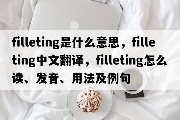 filleting是什么意思，filleting中文翻譯，filleting怎么讀、發(fā)音、用法及例句