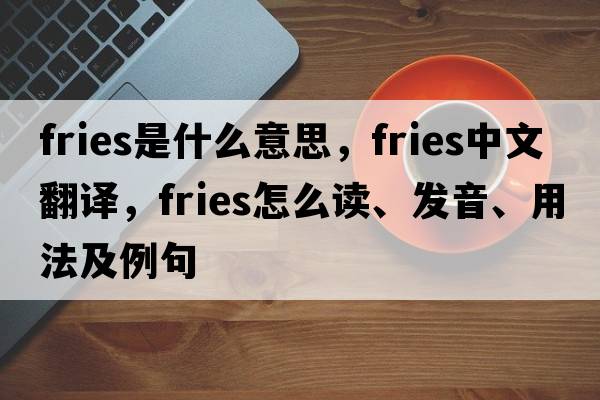 fries是什么意思，fries中文翻譯，fries怎么讀、發(fā)音、用法及例句