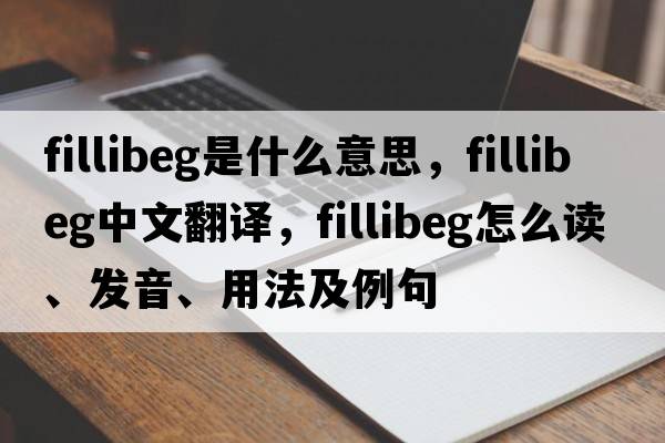 fillibeg是什么意思，fillibeg中文翻譯，fillibeg怎么讀、發(fā)音、用法及例句