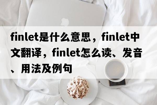 finlet是什么意思，finlet中文翻譯，finlet怎么讀、發(fā)音、用法及例句
