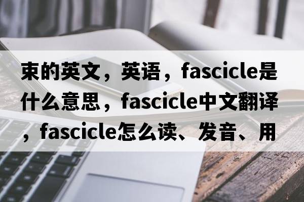 束的英文，英語(yǔ)，fascicle是什么意思，fascicle中文翻譯，fascicle怎么讀、發(fā)音、用法及例句