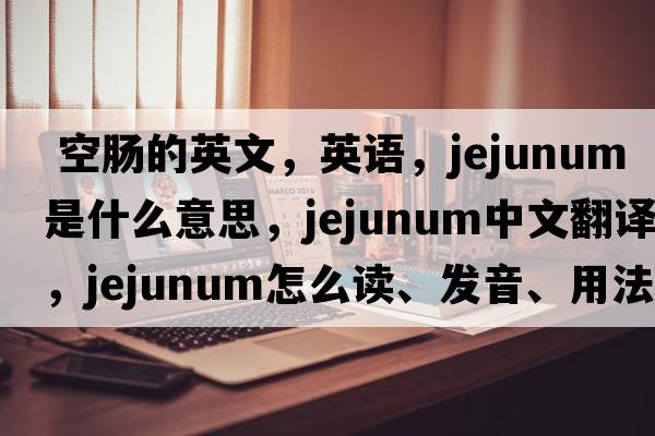  空腸的英文，英語(yǔ)，jejunum是什么意思，jejunum中文翻譯，jejunum怎么讀、發(fā)音、用法及例句