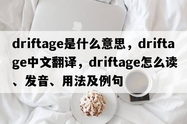 driftage是什么意思，driftage中文翻譯，driftage怎么讀、發(fā)音、用法及例句