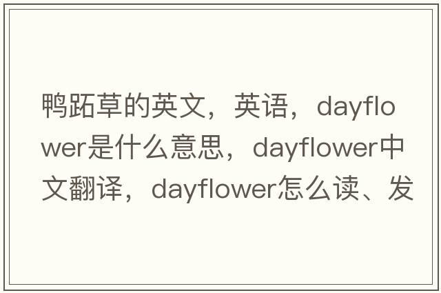 鴨跖草的英文，英語(yǔ)，dayflower是什么意思，dayflower中文翻譯，dayflower怎么讀、發(fā)音、用法及例句