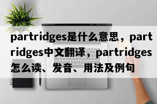 partridges是什么意思，partridges中文翻譯，partridges怎么讀、發(fā)音、用法及例句