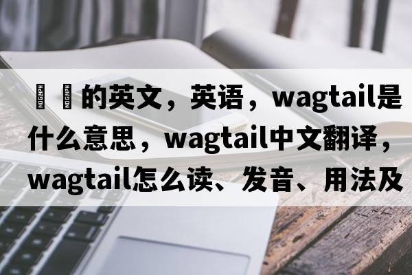 鹡鸰的英文，英語(yǔ)，wagtail是什么意思，wagtail中文翻譯，wagtail怎么讀、發(fā)音、用法及例句