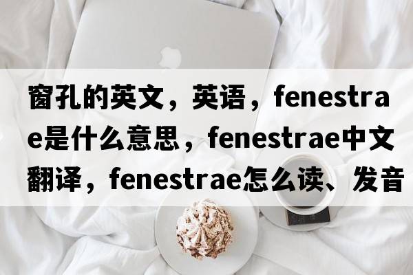 窗孔的英文，英語(yǔ)，fenestrae是什么意思，fenestrae中文翻譯，fenestrae怎么讀、發(fā)音、用法及例句