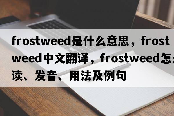 frostweed是什么意思，frostweed中文翻譯，frostweed怎么讀、發(fā)音、用法及例句