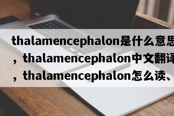 thalamencephalon是什么意思，thalamencephalon中文翻譯，thalamencephalon怎么讀、發(fā)音、用法及例句