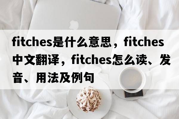 Fitches是什么意思，Fitches中文翻譯，Fitches怎么讀、發(fā)音、用法及例句