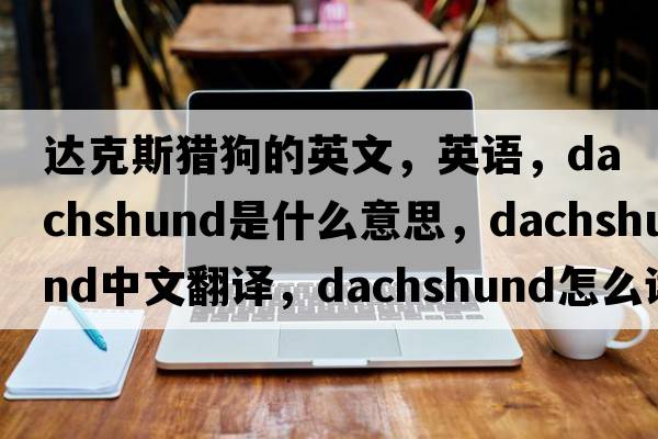 達克斯獵狗的英文，英語(yǔ)，dachshund是什么意思，dachshund中文翻譯，dachshund怎么讀、發(fā)音、用法及例句