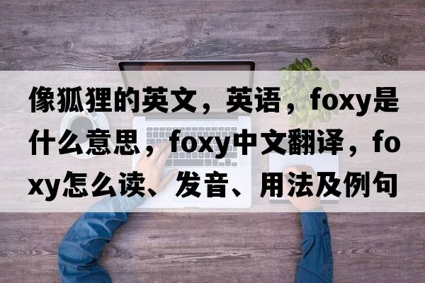 像狐貍的英文，英語(yǔ)，foxy是什么意思，foxy中文翻譯，foxy怎么讀、發(fā)音、用法及例句