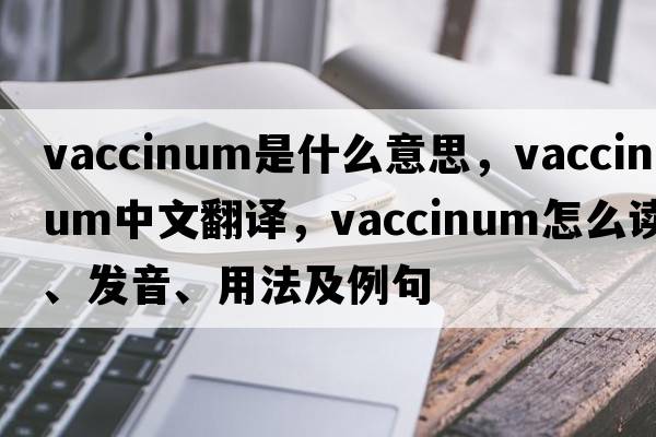 vaccinum是什么意思，vaccinum中文翻譯，vaccinum怎么讀、發(fā)音、用法及例句