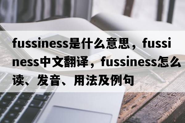 Fussiness是什么意思，Fussiness中文翻譯，Fussiness怎么讀、發(fā)音、用法及例句