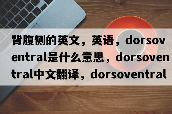 背腹側的英文，英語(yǔ)，dorsoventral是什么意思，dorsoventral中文翻譯，dorsoventral怎么讀、發(fā)音、用法及例句