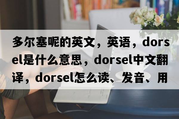多爾塞呢的英文，英語(yǔ)，dorsel是什么意思，dorsel中文翻譯，dorsel怎么讀、發(fā)音、用法及例句