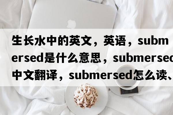生長(cháng)水中的英文，英語(yǔ)，submersed是什么意思，submersed中文翻譯，submersed怎么讀、發(fā)音、用法及例句