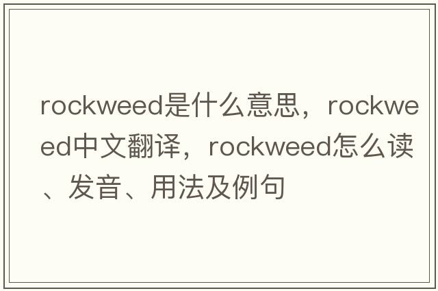 rockweed是什么意思，rockweed中文翻譯，rockweed怎么讀、發(fā)音、用法及例句