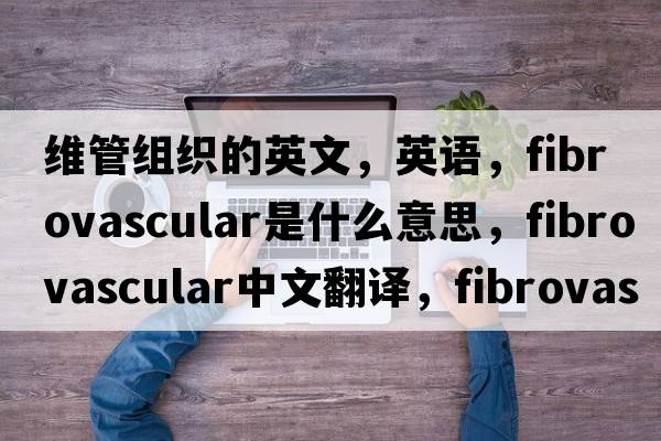 維管組織的英文，英語(yǔ)，fibrovascular是什么意思，fibrovascular中文翻譯，fibrovascular怎么讀、發(fā)音、用法及例句