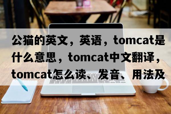 公貓的英文，英語(yǔ)，tomcat是什么意思，tomcat中文翻譯，tomcat怎么讀、發(fā)音、用法及例句