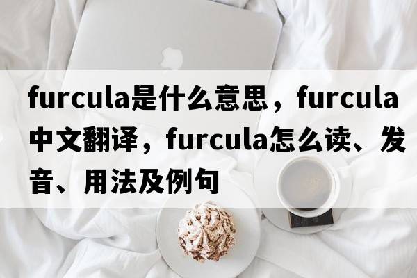 furcula是什么意思，furcula中文翻譯，furcula怎么讀、發(fā)音、用法及例句