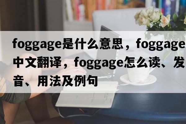 foggage是什么意思，foggage中文翻譯，foggage怎么讀、發(fā)音、用法及例句