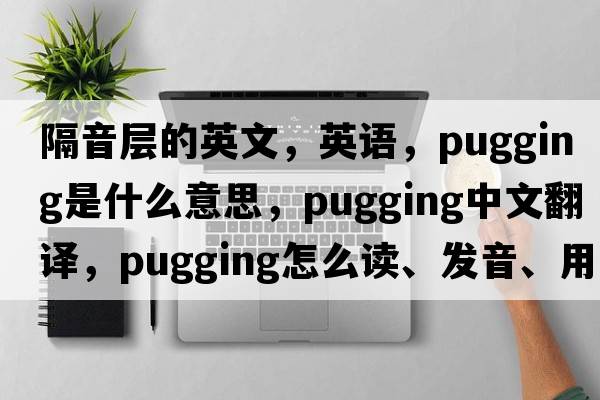 隔音層的英文，英語(yǔ)，pugging是什么意思，pugging中文翻譯，pugging怎么讀、發(fā)音、用法及例句