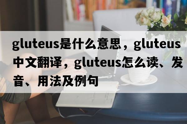 gluteus是什么意思，gluteus中文翻譯，gluteus怎么讀、發(fā)音、用法及例句