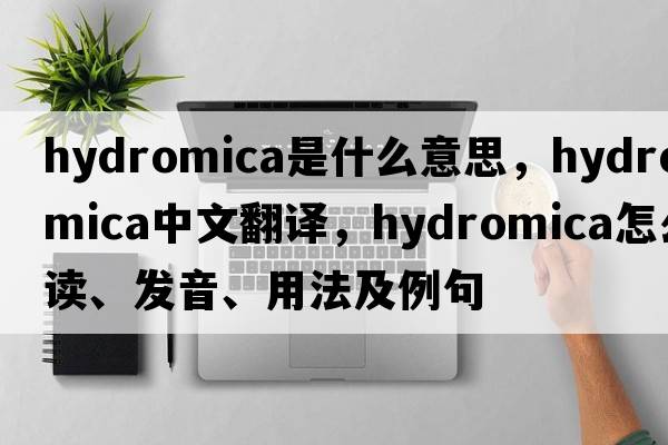 hydromica是什么意思，hydromica中文翻譯，hydromica怎么讀、發(fā)音、用法及例句