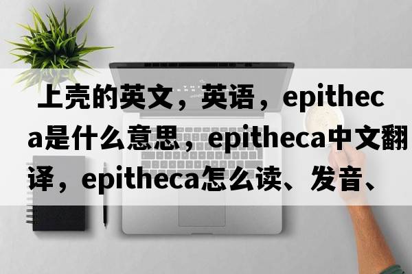  上殼的英文，英語(yǔ)，epitheca是什么意思，epitheca中文翻譯，epitheca怎么讀、發(fā)音、用法及例句