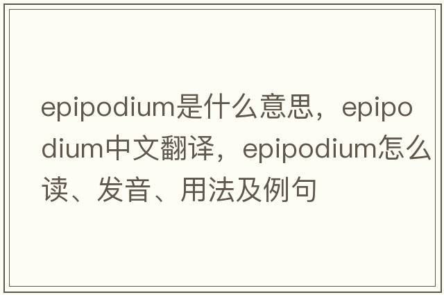 epipodium是什么意思，epipodium中文翻譯，epipodium怎么讀、發(fā)音、用法及例句