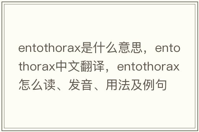 entothorax是什么意思，entothorax中文翻譯，entothorax怎么讀、發(fā)音、用法及例句